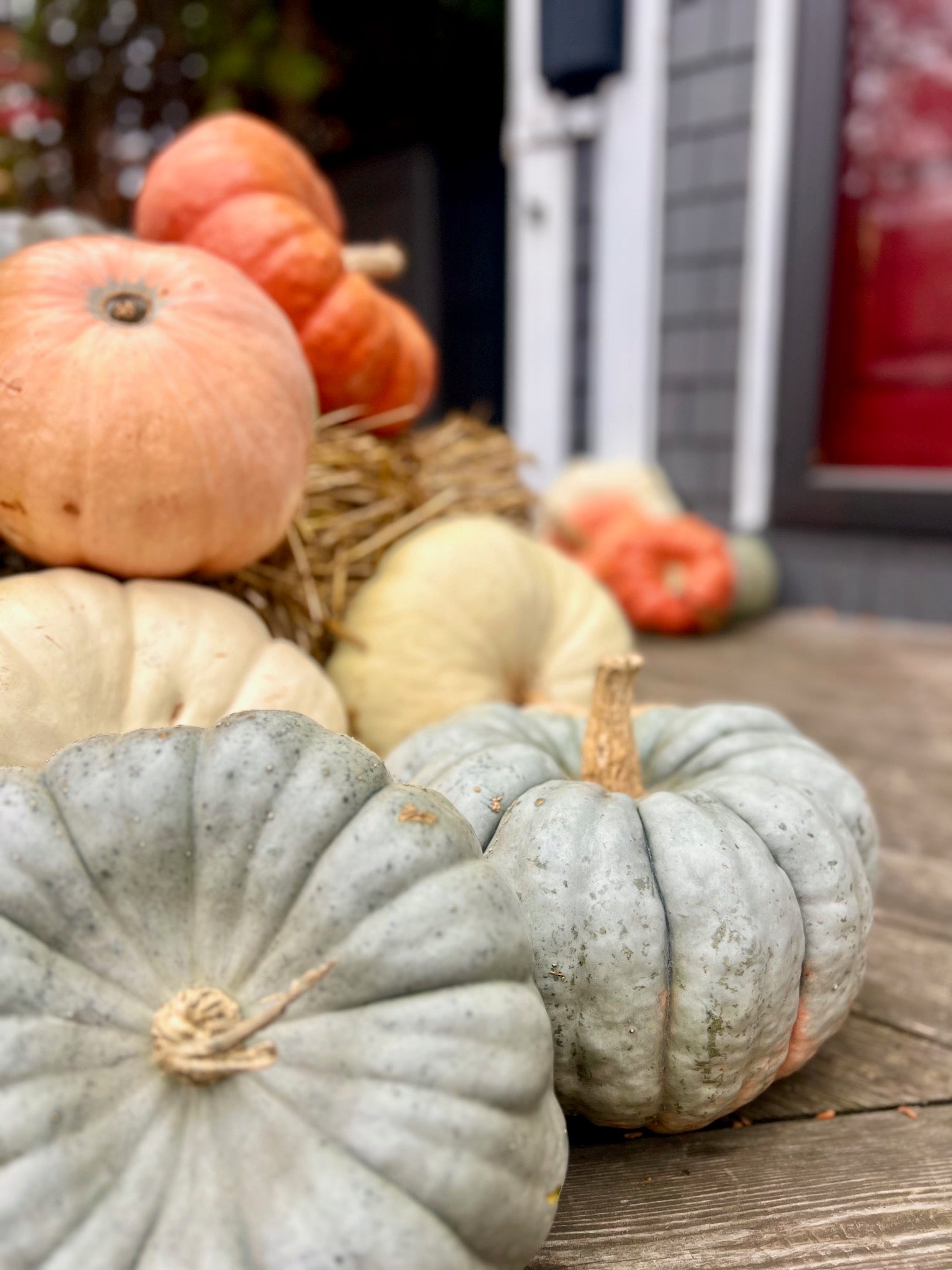 Custom Gourds Package
