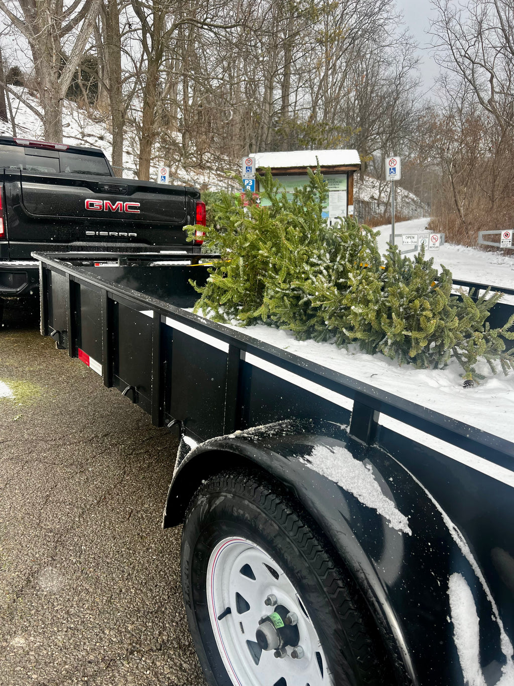 Christmas Tree Pick-Up