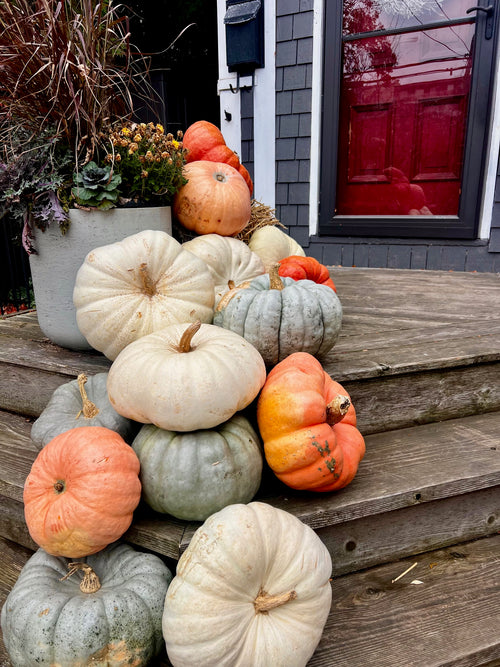 Custom Gourds Package