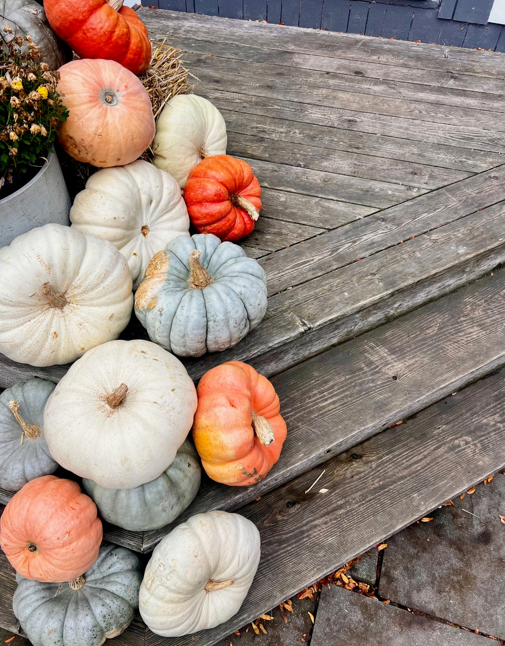 Custom Gourds Package